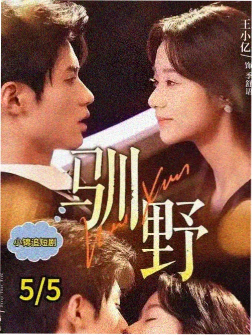 少年白马醉春风在线观看 收视率
